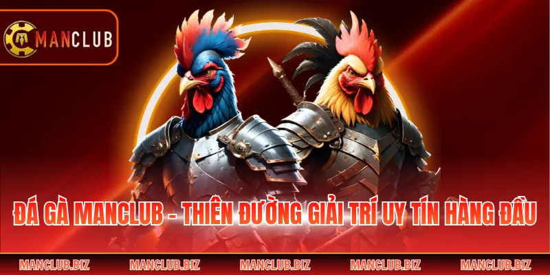 Đá Gà Manclub - Thiên Đường Giải Trí Uy Tín Hàng Đầu