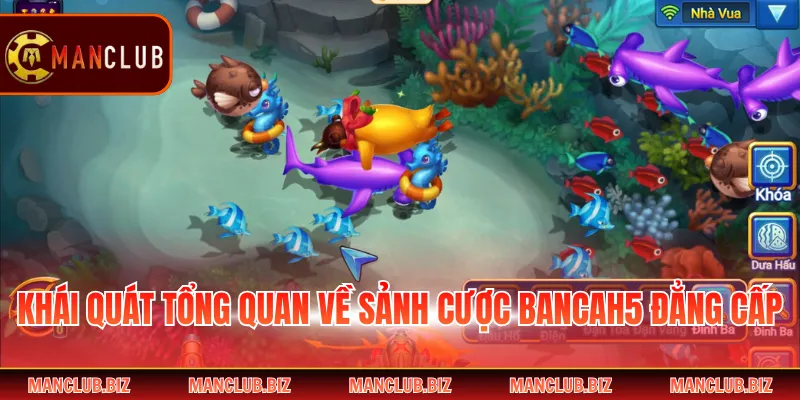 Khái quát tổng quan về sảnh cược bancah5 đẳng cấp